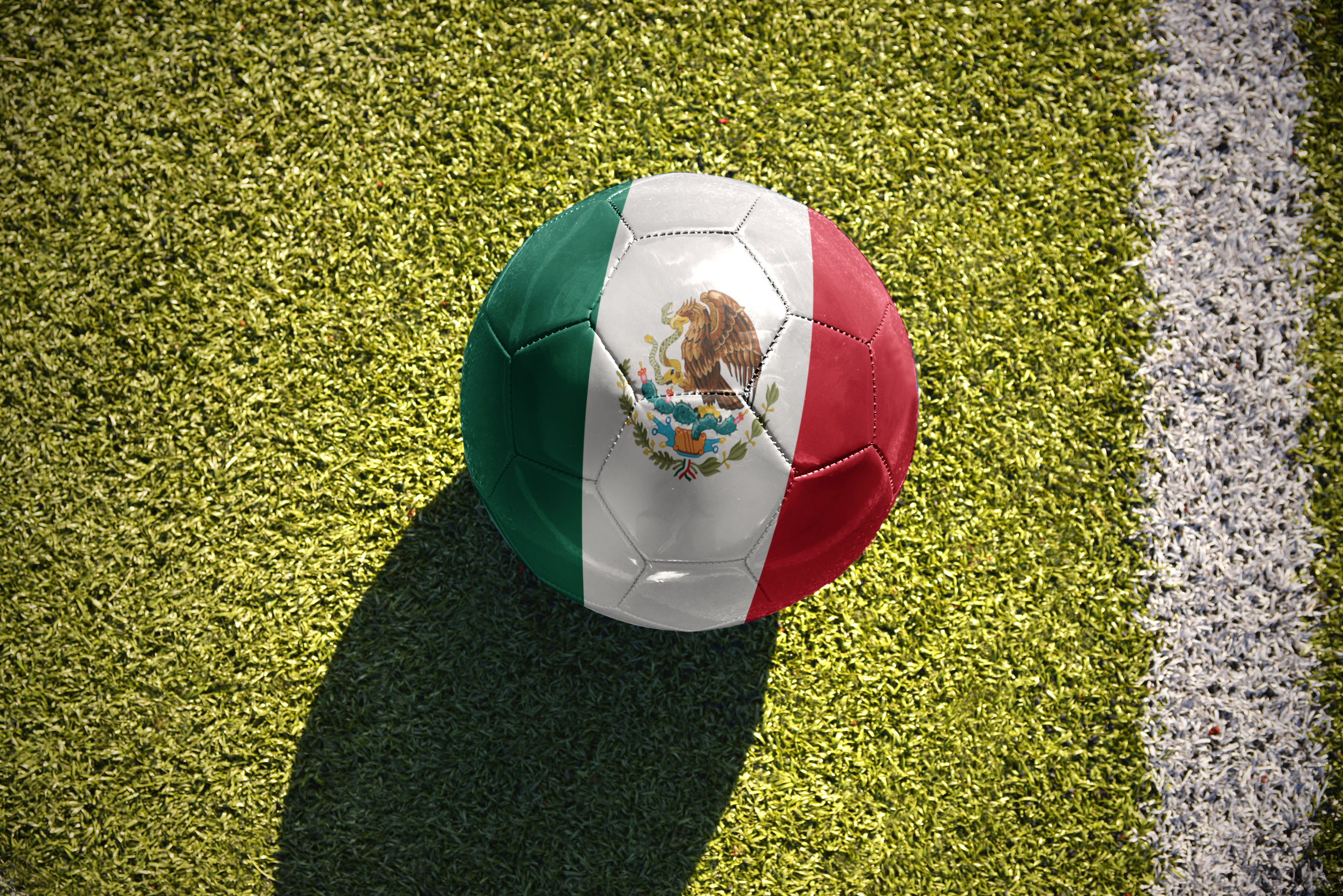 Mexico_Soccer One Concierge